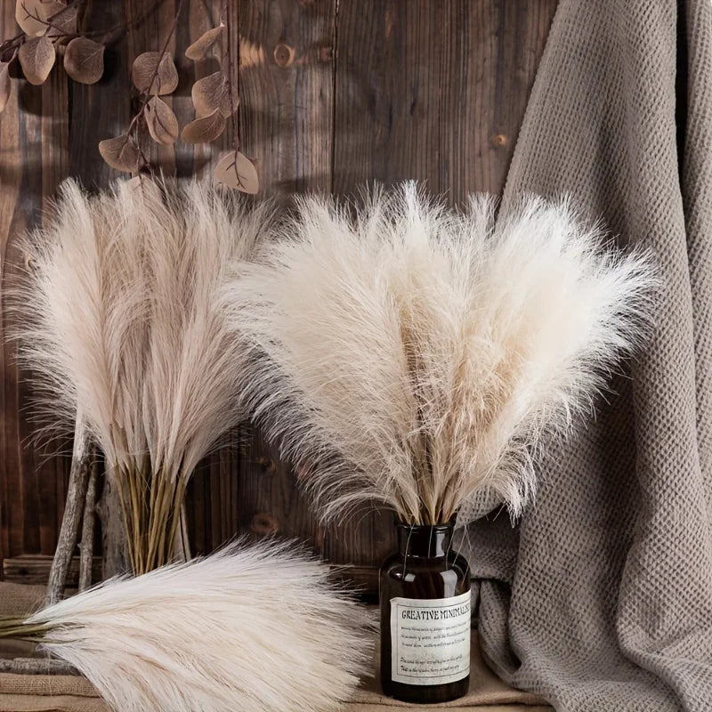 Dune Pampas Plumes