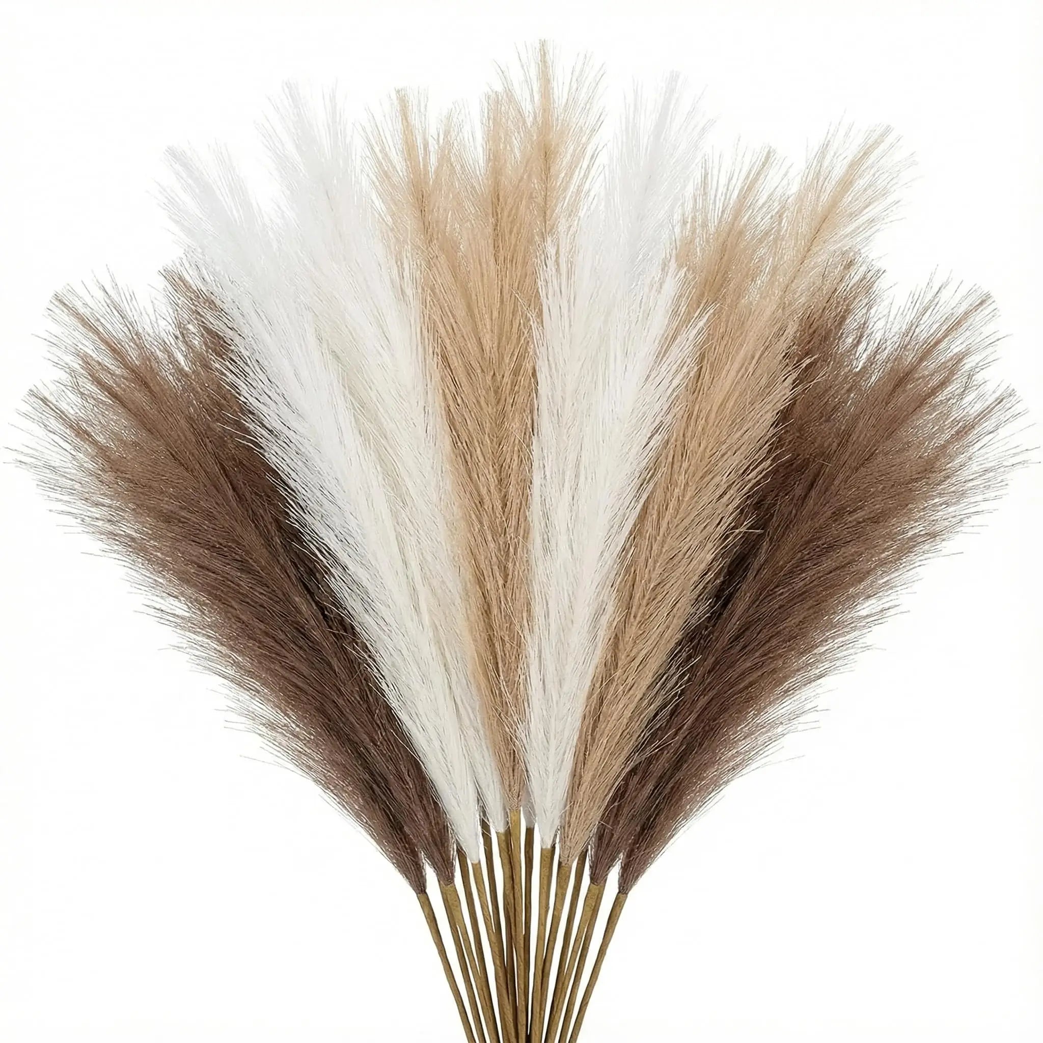 Harvest Pampas Bundle