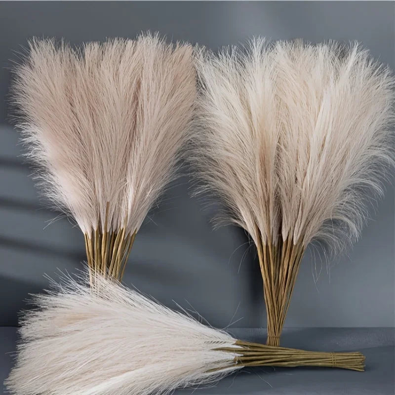 Dune Pampas Plumes