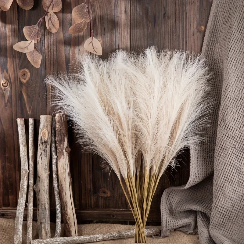 Dune Pampas Plumes