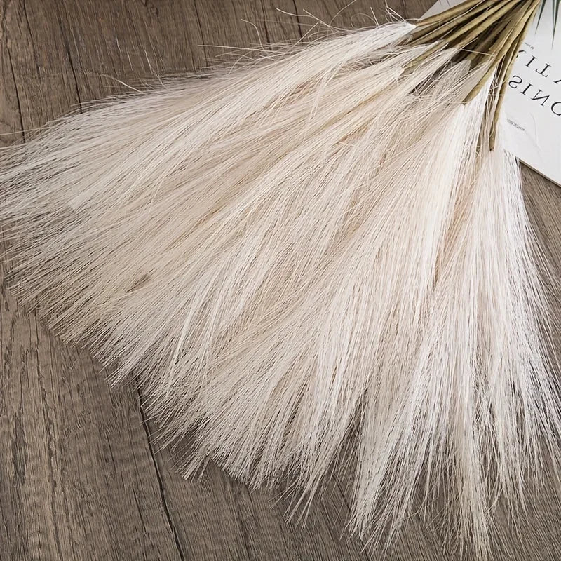 Dune Pampas Plumes